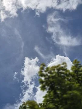 Blue Sky with Clouds and Tree Canopy Stockfoto's
