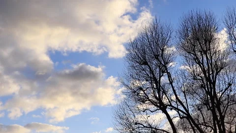 Blue Sky with clouds and trees in the afternoon Stock Footage 169439967