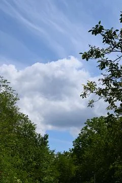 Blue sky with clouds and trees background 库存照片