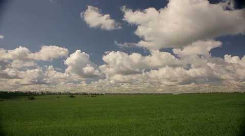 Blue sky with clouds and wheat field Stock Footage 50491021