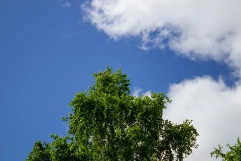 Blue sky clouds background. Beautiful landscape with clouds on sky Stock Photos