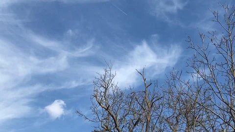 Blue sky, clouds &amp; bare branches of trees timelapse with plane crossing the sky Vidéo 105674763