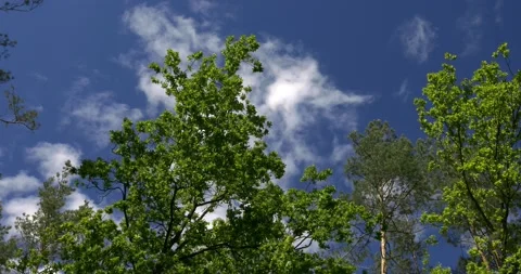 Blue sky with clouds Stock Footage 130929028
