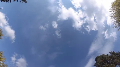 Blue sky with clouds. Looking up at the sky in the forest. Rotate the camera Stock Footage 114664538