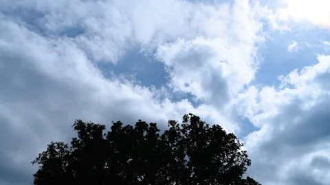Blue sky clouds moving behind black tree slowmotion Stock Footage 98587387
