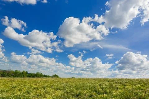 A blue sky with clouds over a flowering meadow in summer. Foto stock