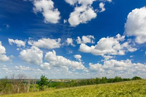 A blue sky with clouds over a flowering meadow in summer. Foto stock