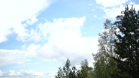 Blue sky in clouds over the forest Stock Footage 95308727