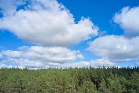 Blue sky with clouds over the forest Stock Photos