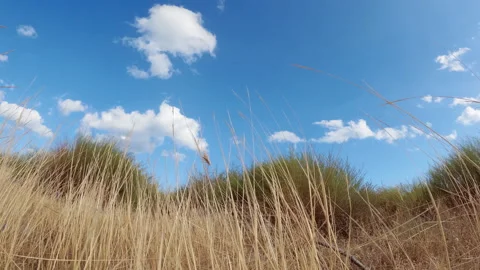 Blue Sky With Clouds Over The Steppe Stock Footage 247490585
