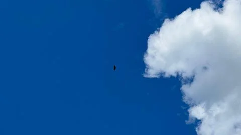 Blue sky with clouds Foto stock