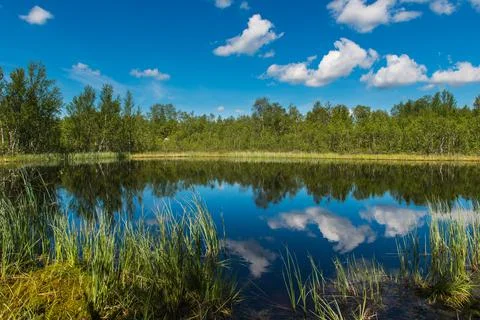 Blue sky with clouds reflected in the forest lake 스톡 사진