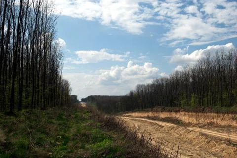 A blue sky clouds trees Foto stock