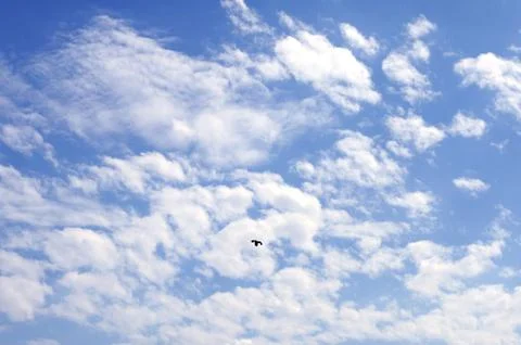 Blue sky with clouds for web background. Foto stock
