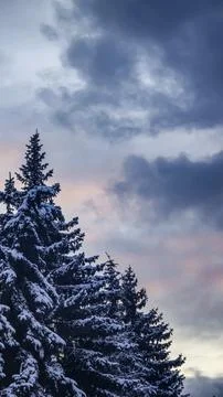 Blue sky with clouds, winter weather. Clouds on the background of trees. Foto stock