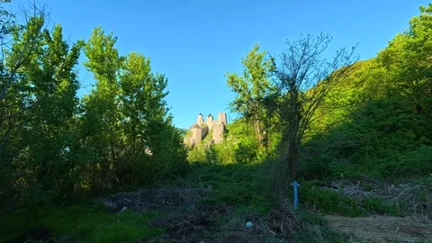 Blue sky contrasts with the vibrant, leafy canopy. Balkan, Eastern Europe, POV Stock Footage 333347937