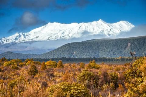 Blue sky day with wispy clouds hanging above a snow covered volcano Stock Photos