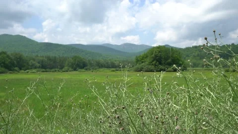 Blue sky field Stock Footage 171342348