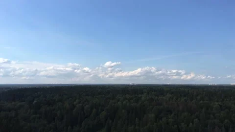 Blue sky with fluffy clouds above a forest in time lapse Видео 136750086