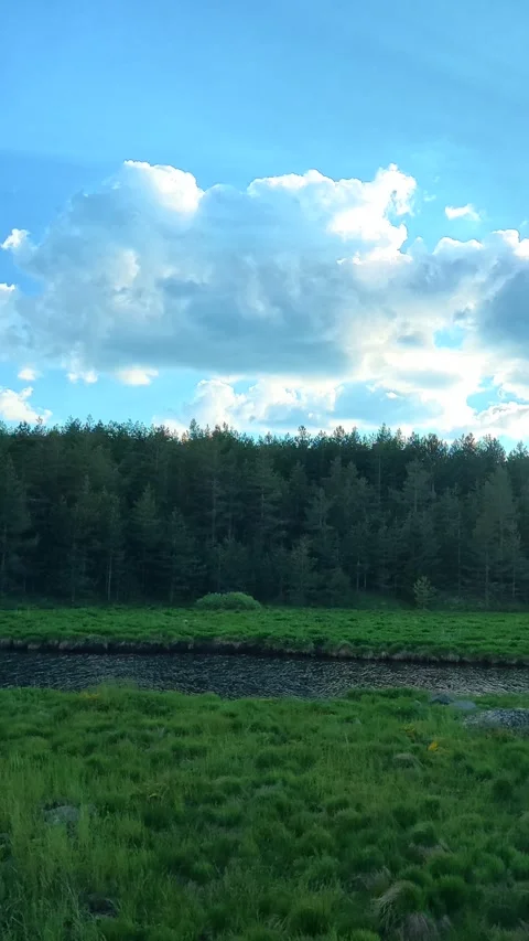 Blue sky with fluffy clouds above green forest edge. Black Rzav river. Vertical Video stock 337482800
