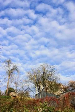 Blue sky with fluffy clouds 写真素材