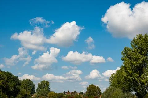 Blue Sky with Fluffy White Clouds over Green Trees with Copy Space Stock Photos