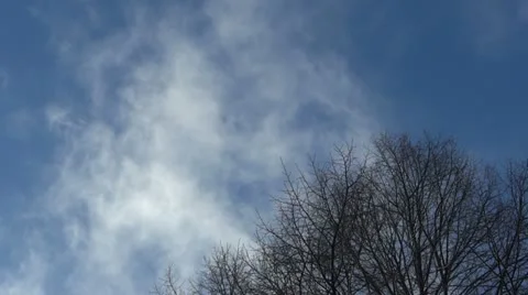 Blue Sky Vidéo 21885335