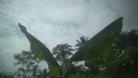 Blue sky Stock Footage 169001905