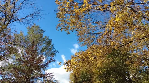 BLUE SKY Stock Footage 193717434