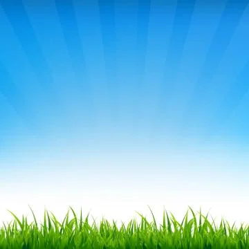 Blue sky with grass Stock Illustration
