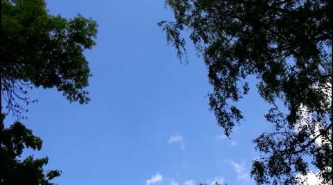 Blue sky on green tree frame 스톡 동영상 41710694