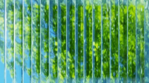 Blue sky with green trees animation Stock Footage 145081696
