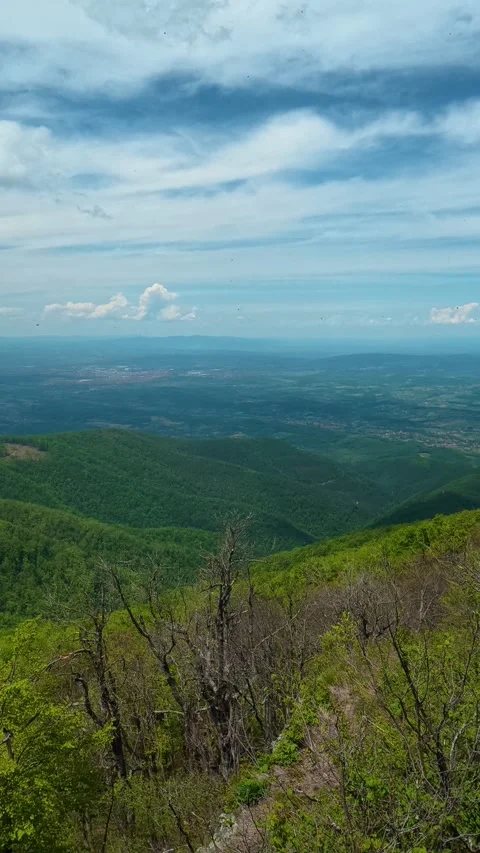Blue sky hosts scattered clouds above. Jastrebac Mountain, Serbia. Vertical Stock Footage 336109446