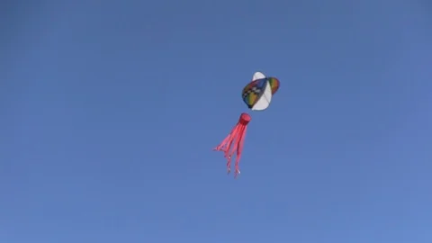 Blue sky kite Stock Footage 95451410