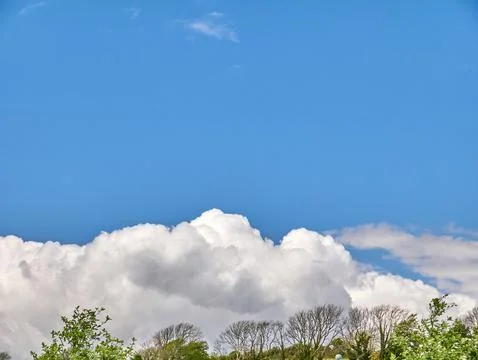 Blue Sky with Large White Clouds Over Trees 스톡 사진