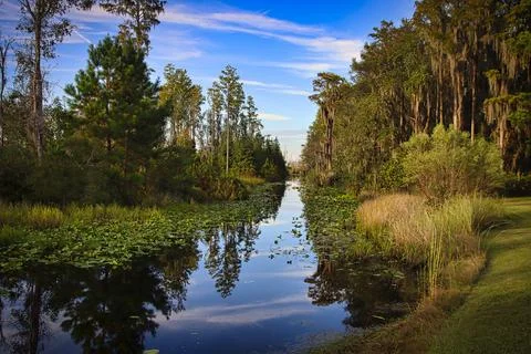 Blue sky Launch Fotos Stock