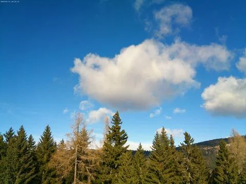 Blue sky in the middle, big clouds and autumn forest Foto stock