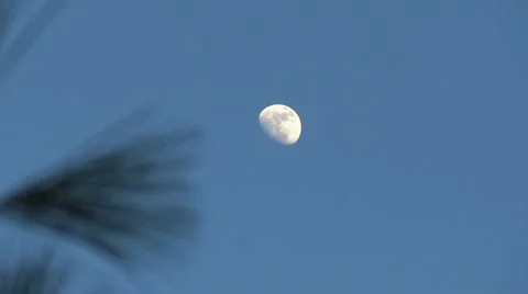 Blue Sky Moon Vidéo 22219510