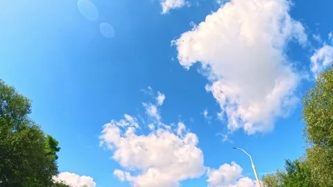 Blue sky with moving clouds framed by green trees Video stock 317443893