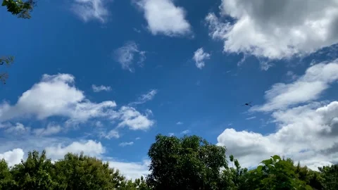 Blue Sky with Moving White Clouds Above Green Trees Stock Footage 328250016