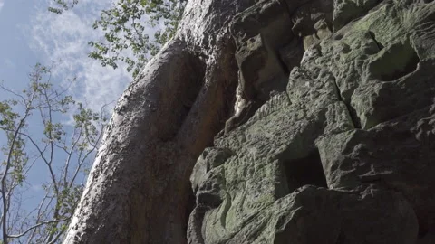 Blue sky orbit pan up wall to tree ancient ruins day Stock Footage 229825610
