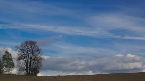 Blue sky over an empty field,4k,timelapse 動画素材 230855601