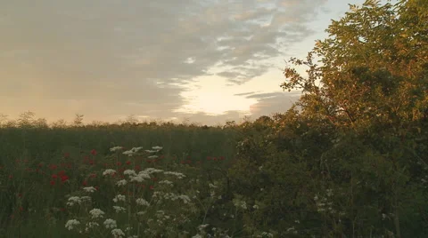 Blue sky over field Vídeo Stock 3981003