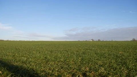 A blue sky over a green field. Stock Footage 84042657