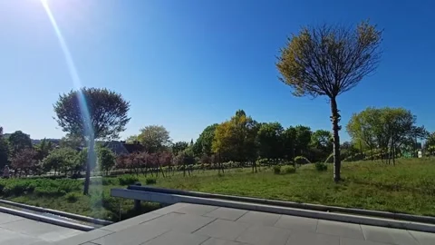 Blue Sky Over Greenery Sunny Park Vista Urban Green Escape Tranquil City Park Stock Footage 307797982