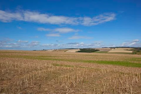 Blue sky over patchwork landscape Stock Photos
