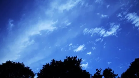 Blue sky over silhouetted trees Stock Footage 93780801