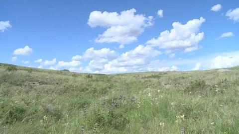 Blue sky over the steppe Stock Footage 82302915
