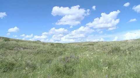 Blue sky over the steppe Stock Footage 82302954