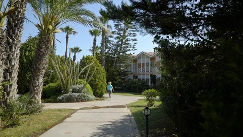Blue sky, path among palm trees, in the distance a person strolls. Stock-Footage 92146501